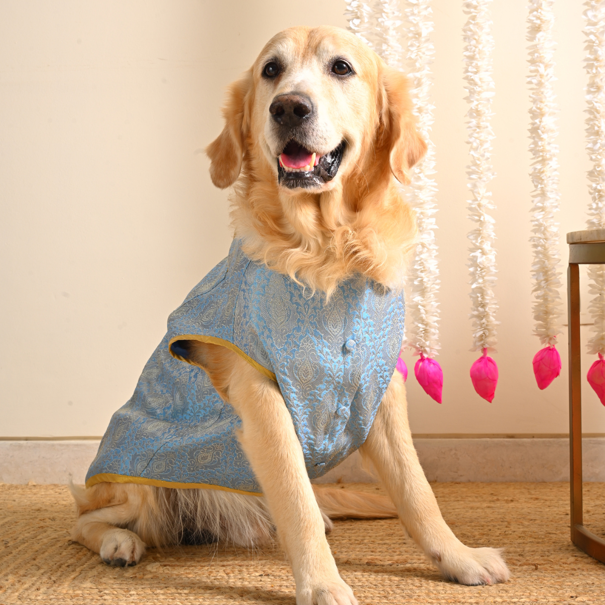 Dog Festive Clothes UAE | Dog Diwali Jacket Dubai