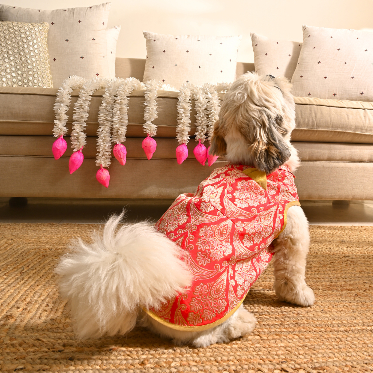 Red Dog Sherwani | Diwali Clothes for dogs Dubai