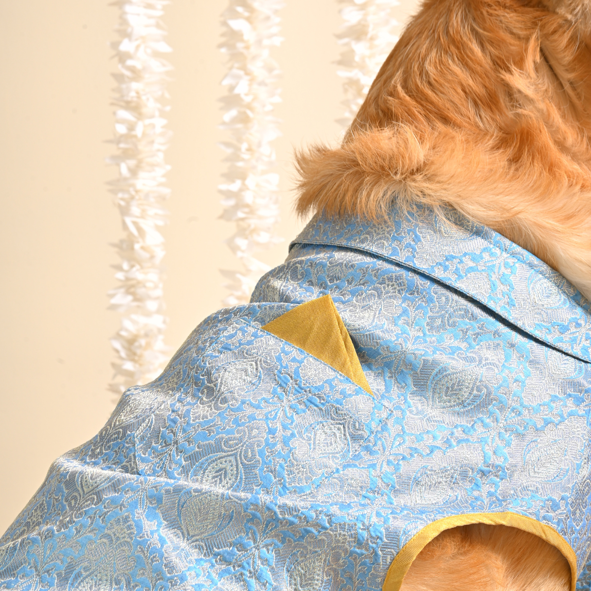 PoochMate Brocade Festive Dog Sherwani : Blue