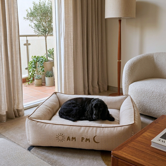 PoochMate UAE | Dog Beds with removable covers online Dubai | Large washable dog beds Dubai | Dog Beds UAE