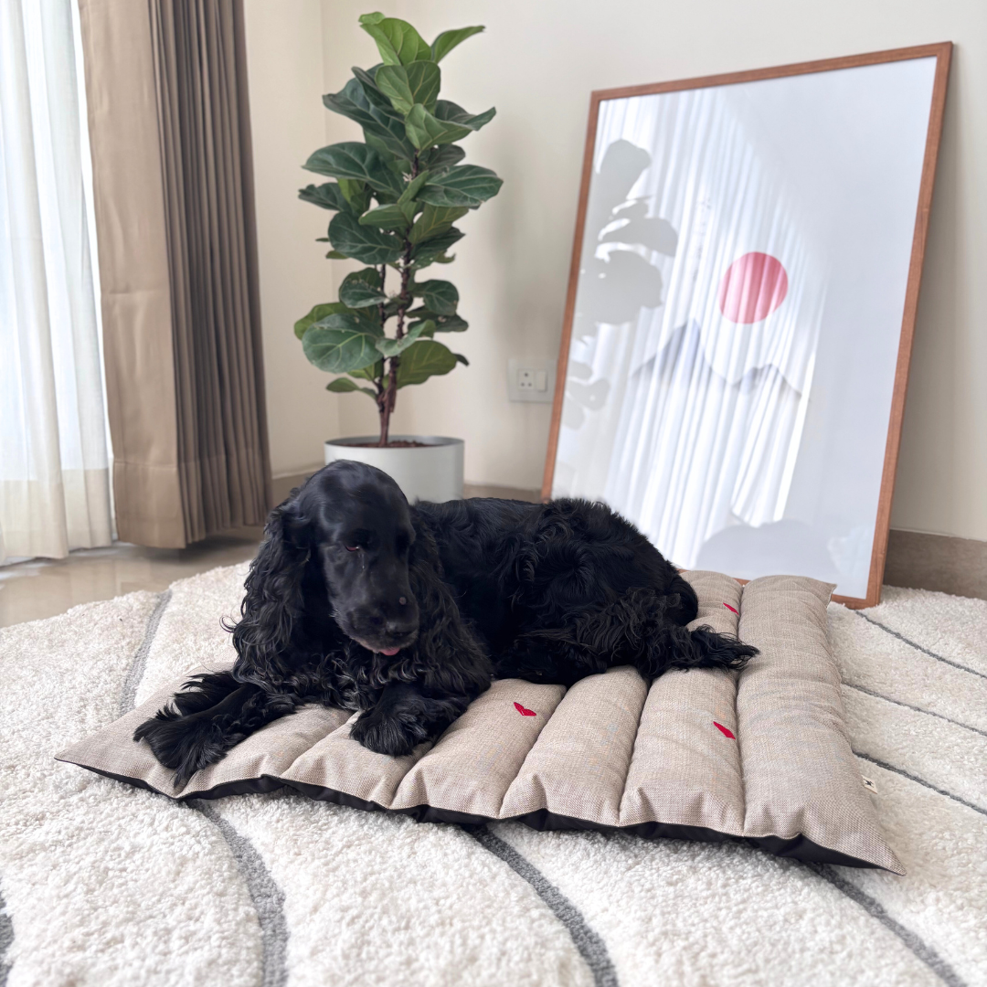 Cotton pet Mats | Quilted Pet Mats online Dubai
