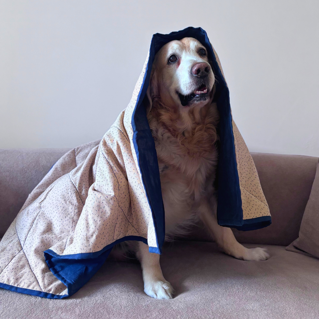 Cotton Dog Blankets | Soft Puppy Blankets | Washable dog blankets Dubai | Best Dog Blankets Dubai