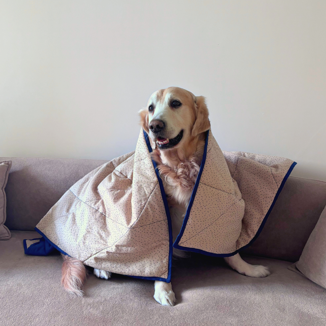 Cotton Pet Blankets | Soft Puppy Blankets | Washable pet blankets Dubai | Best Dog Blankets Dubai