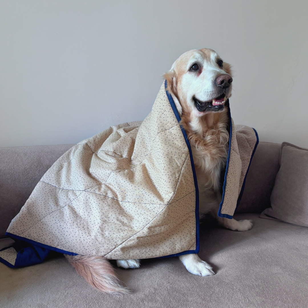 Cotton Pet Blankets | Soft Puppy Blankets | Washable pet blankets Dubai | Best Dog Blankets Dubai