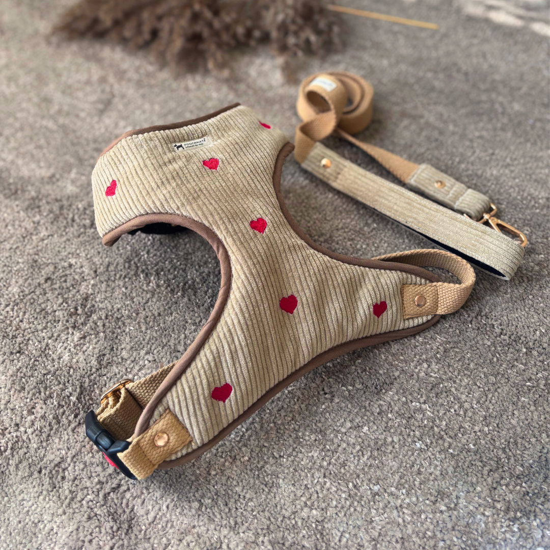 Dog Harness & Leash Dubai| Dog Walking Harness | Cotton dog harness Dubai| Pet Harness Sets | PoochMate Harness 