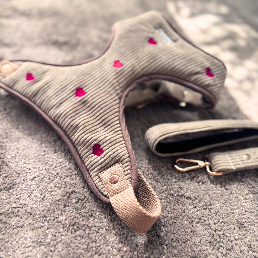 Dog Harness & Leash Dubai| Dog Walking Harness | Cotton dog harness Dubai| Pet Harness Sets | PoochMate Harness 