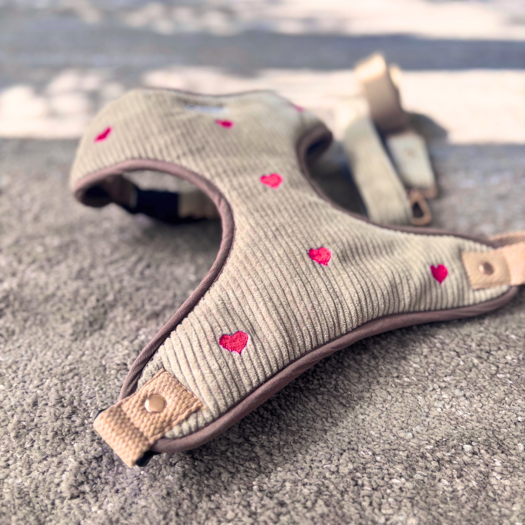 Dog Harness & Leash Dubai| Dog Chest Harness | Cotton dog harness Dubai| Pet Harness Sets | PoochMate Harness 