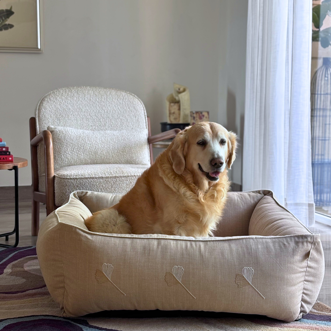 Linen dog beds Dubai | Large dog beds Dubai| Washable dog beds online Dubai | Large dog beds with removable covers