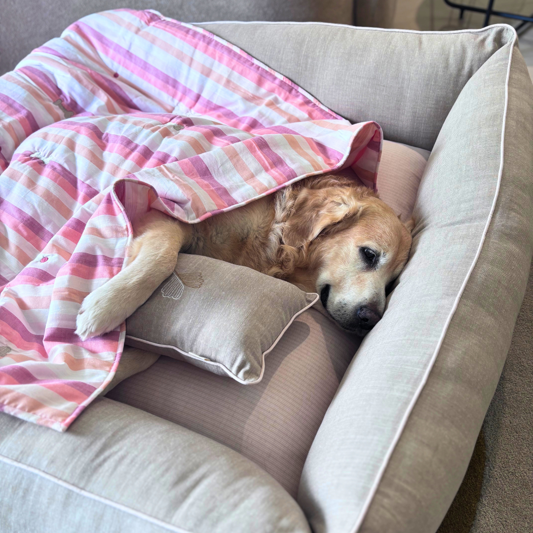 Linen Dog Beds UAE | Dog Beds with washable covers Dubai | Dog bed and blanket sets
