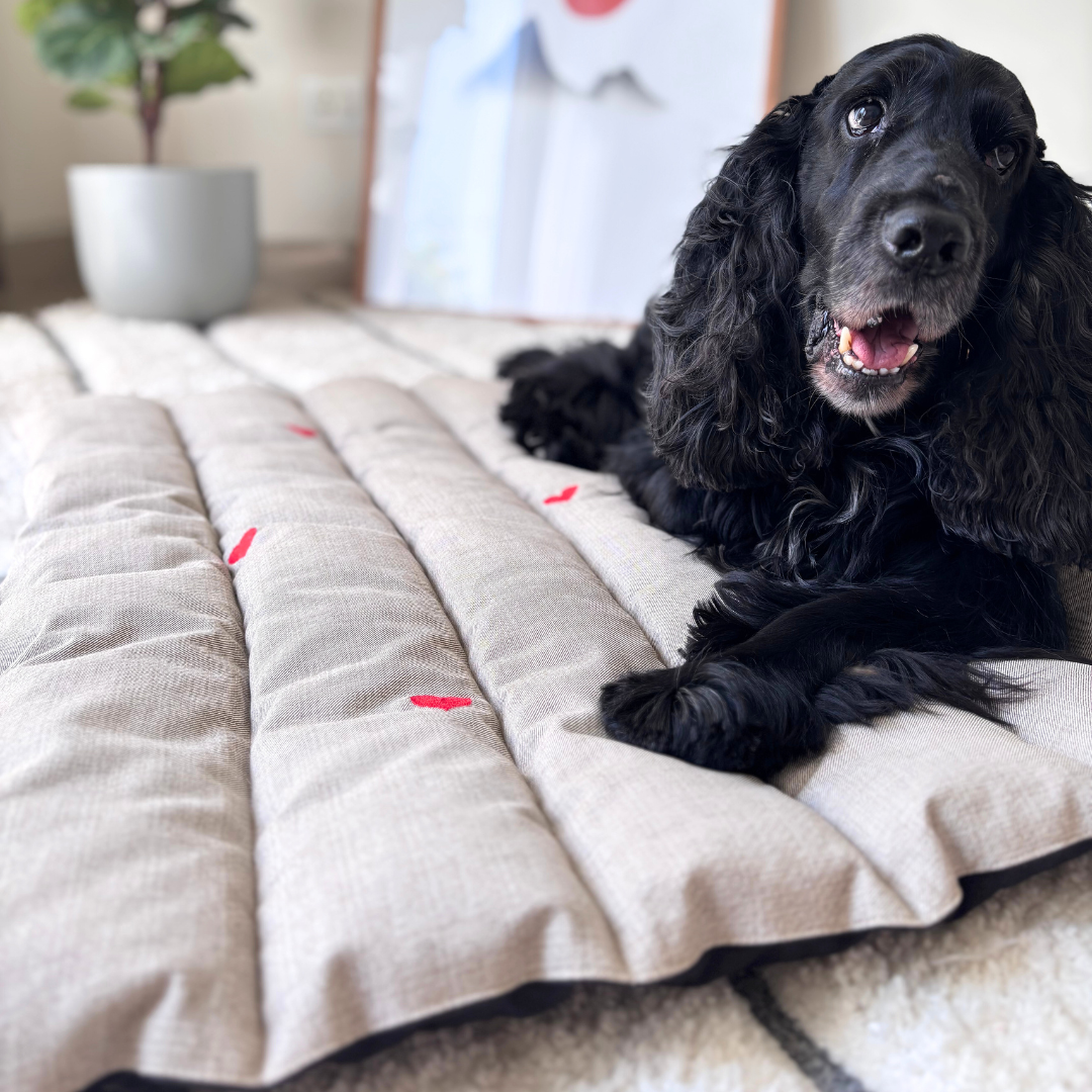 Dog Mats for large dogs | Cotton Large Dog Mats Dubai