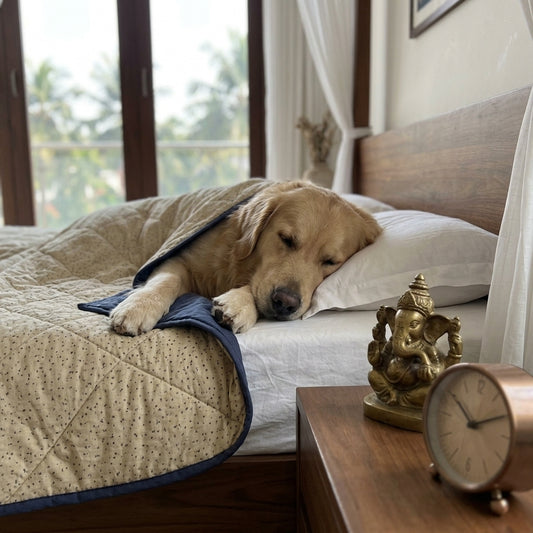 Cotton Pet Blankets | Soft Puppy Blankets | Washable pet blankets Dubai | Best Dog Blankets Dubai