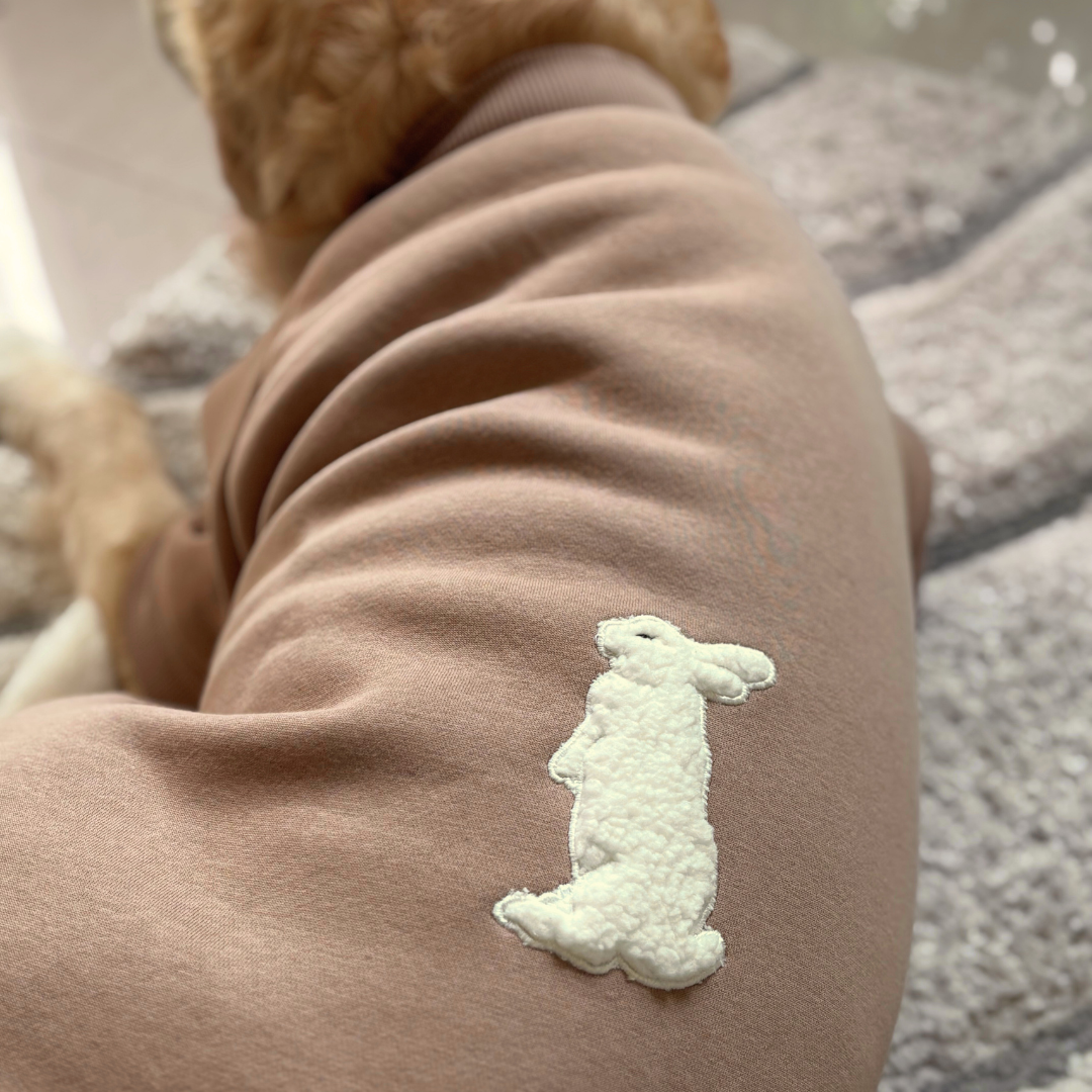 Luxury Dog Clothes Dubai | Dog clothes online UAE | Dog hoodie Dubai | Dog sweatshirts online Dubai