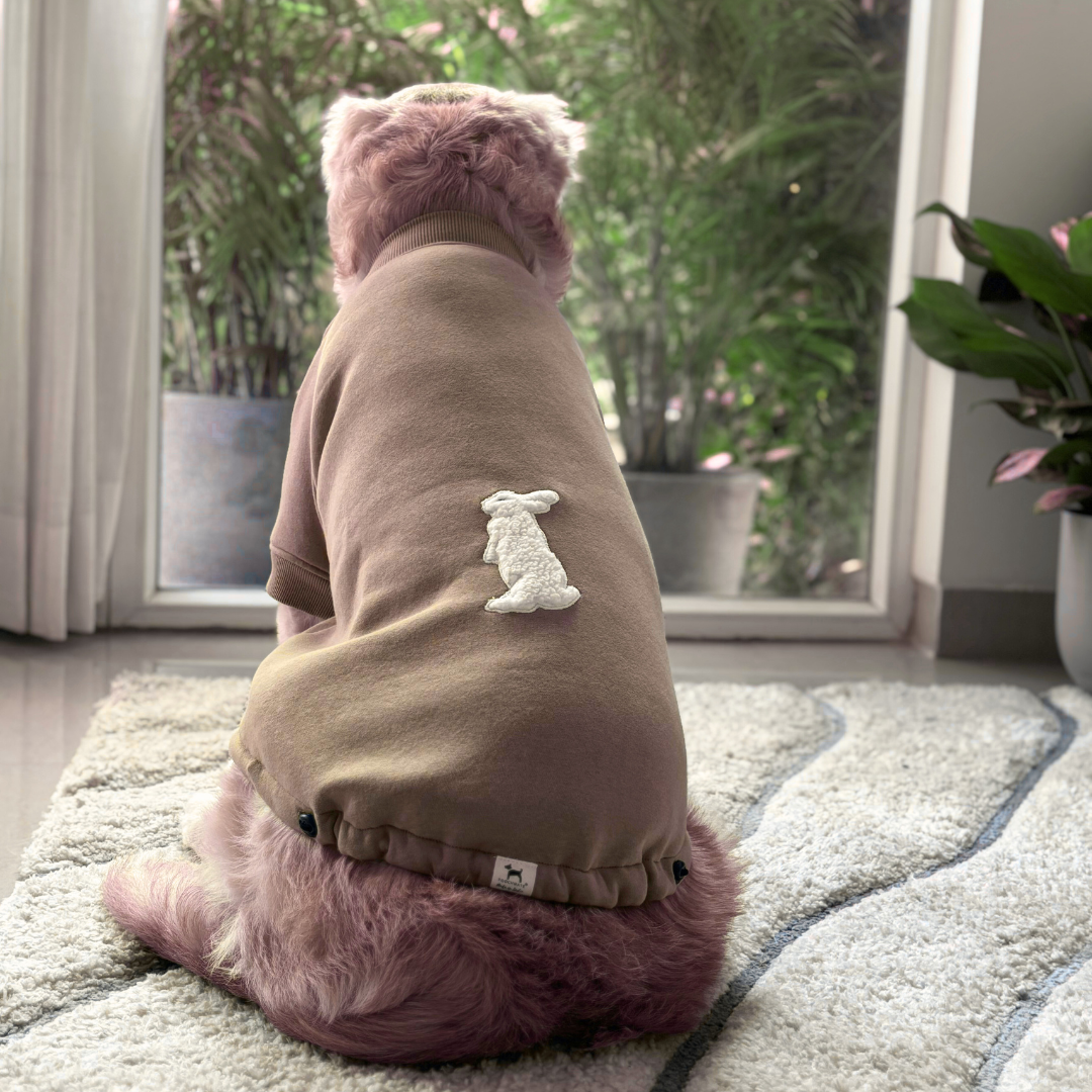 Dog Clothes Dubai | Dog clothes online UAE | Dog hoodie Dubai | Dog sweatshirts online Dubai