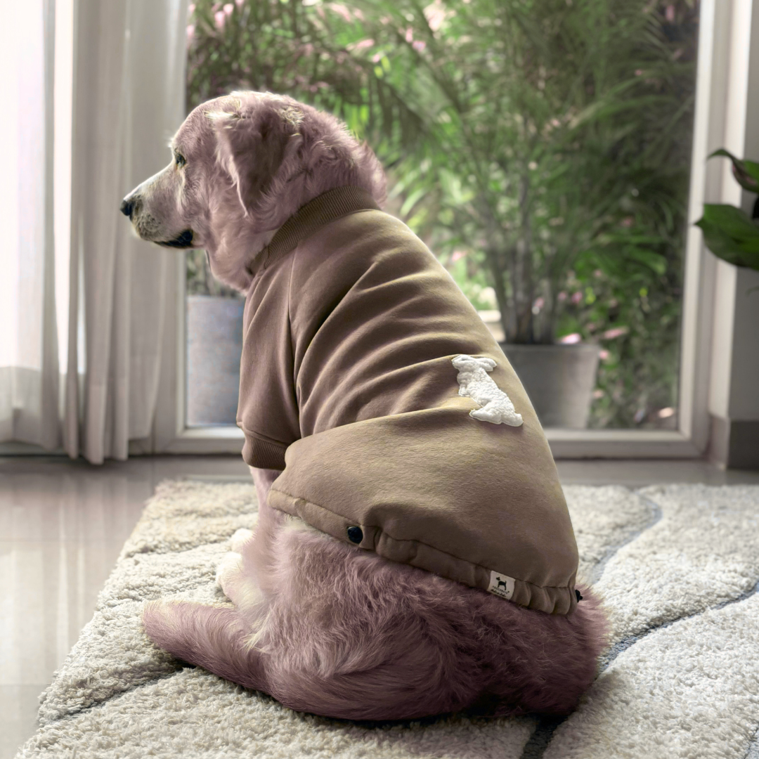 Winter clothes for dogs Dubai | Dog clothes online Dubai | Dog hoodie Dubai | Dog sweatshirts online Dubai
