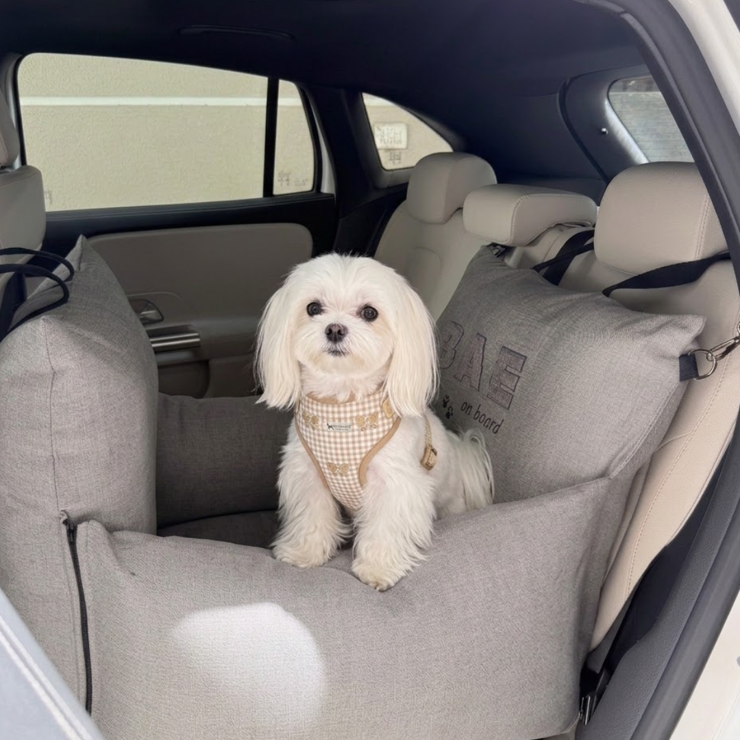 XS Cotton Dog harness & leash set | Dog Harness & Collars Dubai | Harness & Lead sets for toy breeds | X-S Dog Harness & Leash Sets