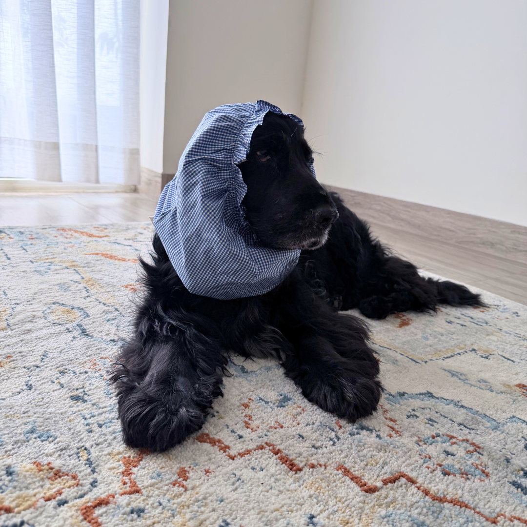 buy dog snood online UAE| dog snood for ear protection UAE| Soft cotton dog snood for dogs UAE| PoochMate UAE Dog snood | comfortable dog ear cover for travel UAE