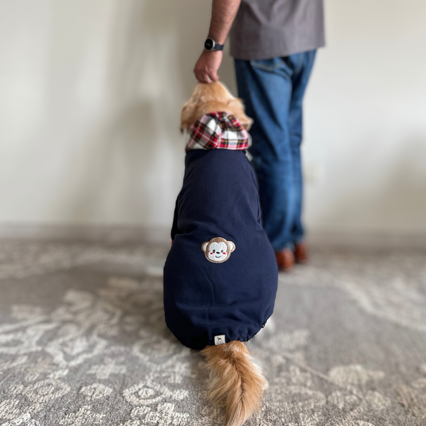 Large dog winter clothes Dubai | dog Clothes UAE