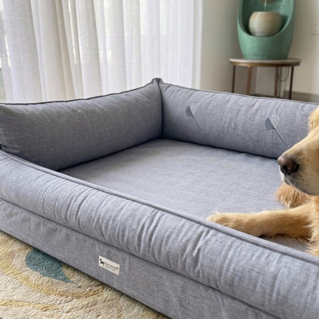 Beds for senior dogs online Dubai| Memory foam dog beds Dubai| Memory foam dog sofa bed Dubai| Memory foam dog bed with raised sides UAE | PoochMate UAE memory Foam Dog bed