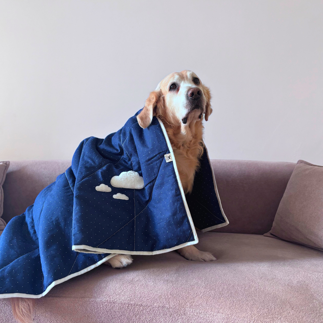 Cotton Pet Blankets | Soft Puppy Blankets | Washable pet blankets Dubai | Best Dog Blankets Dubai