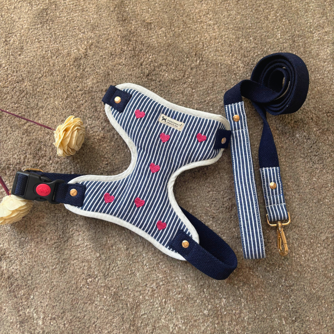 Dog Harness & Leash Dubai| Dog Walking Harness | Cotton dog harness UAE| Pet Harness Sets | PoochMate Harness 