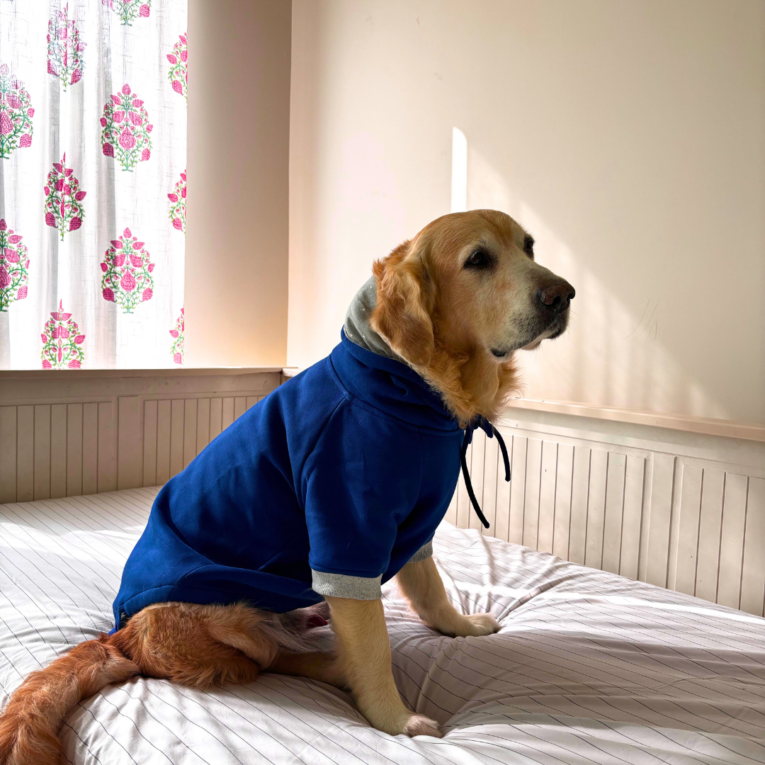 Dog Sweatshirts | Dog Hoodies | Dubai pet Stores