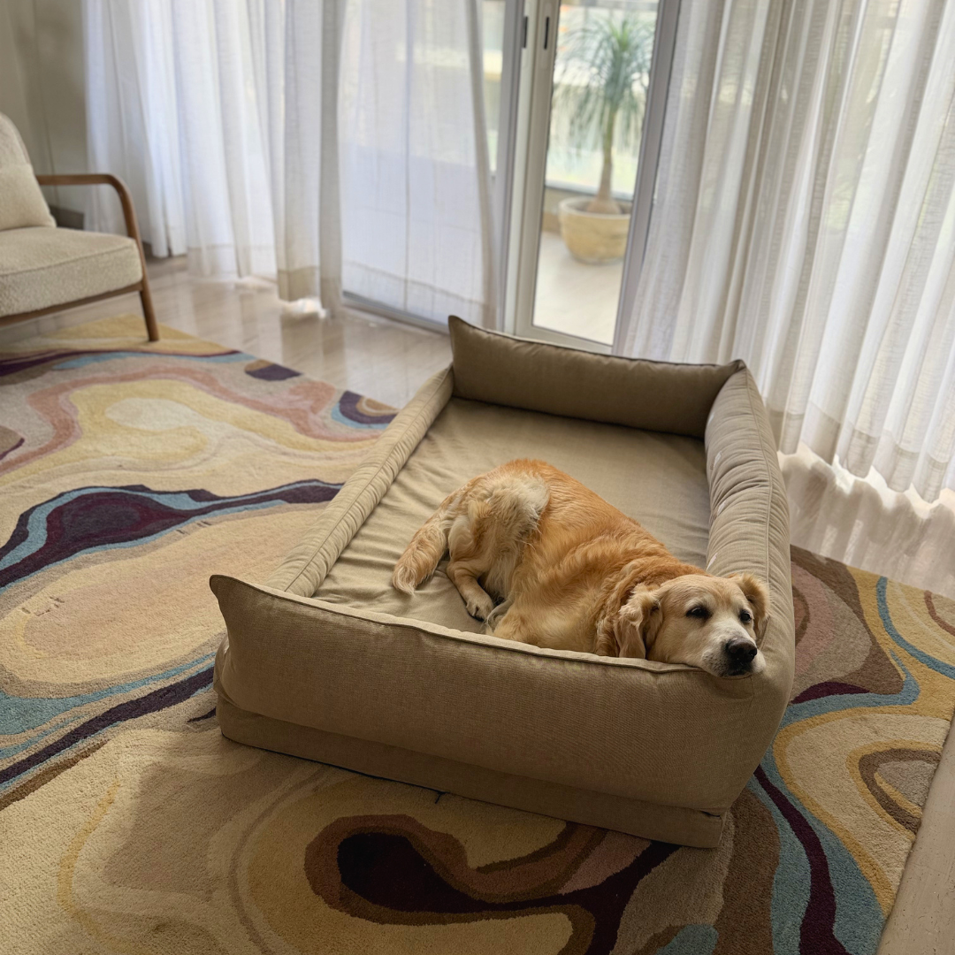 Orthopaedic dog beds Dubai| Memory foam dog beds Dubai| Memory foam dog sofa bed Dubai| Memory foam dog bed with raised sides UAE | PoochMate UAE memory Foam Dog bed