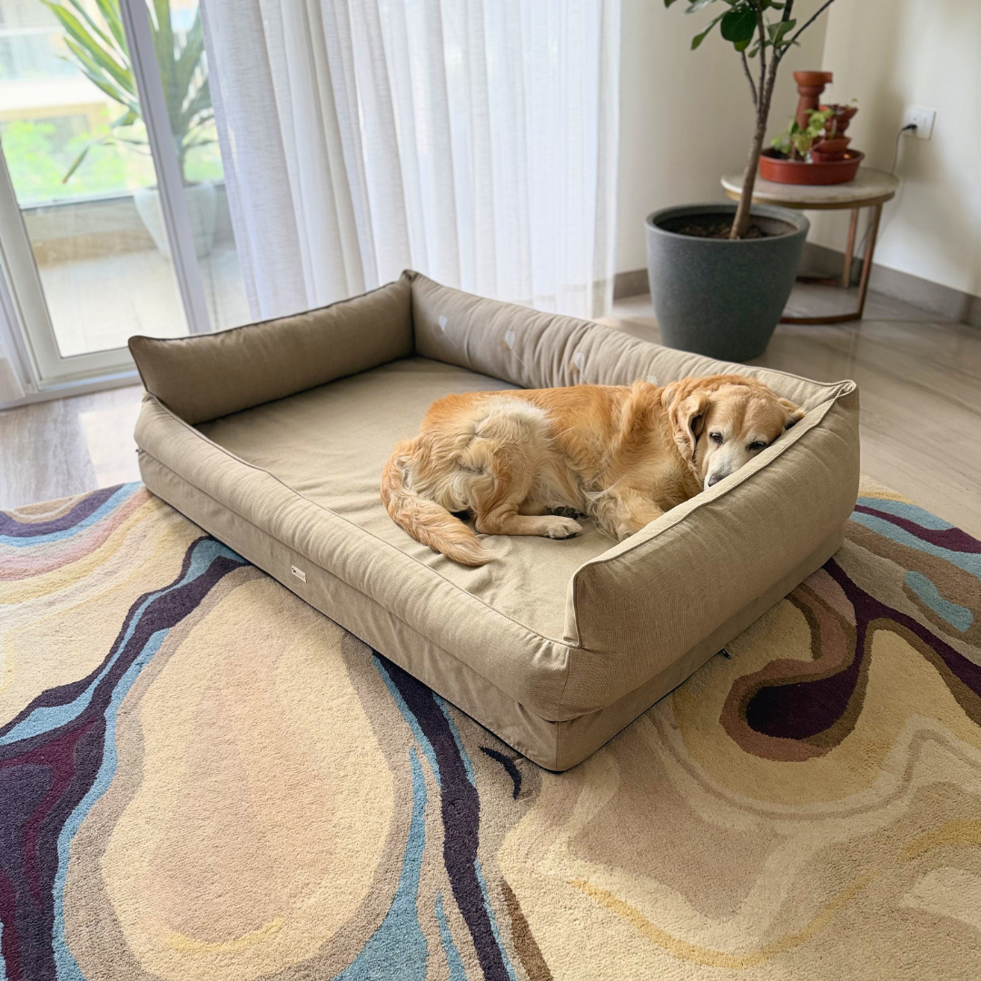 Orthopaedic dog beds Dubai| Memory foam dog beds Dubai| Memory foam dog sofa bed Dubai| Memory foam dog bed with raised sides UAE | PoochMate UAE memory Foam Dog bed
