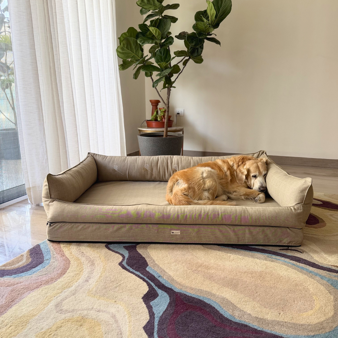 Orthopaedic dog beds Dubai| Memory foam dog beds Dubai| Memory foam dog sofa bed Dubai| Memory foam dog bed with raised sides UAE | PoochMate UAE memory Foam Dog bed