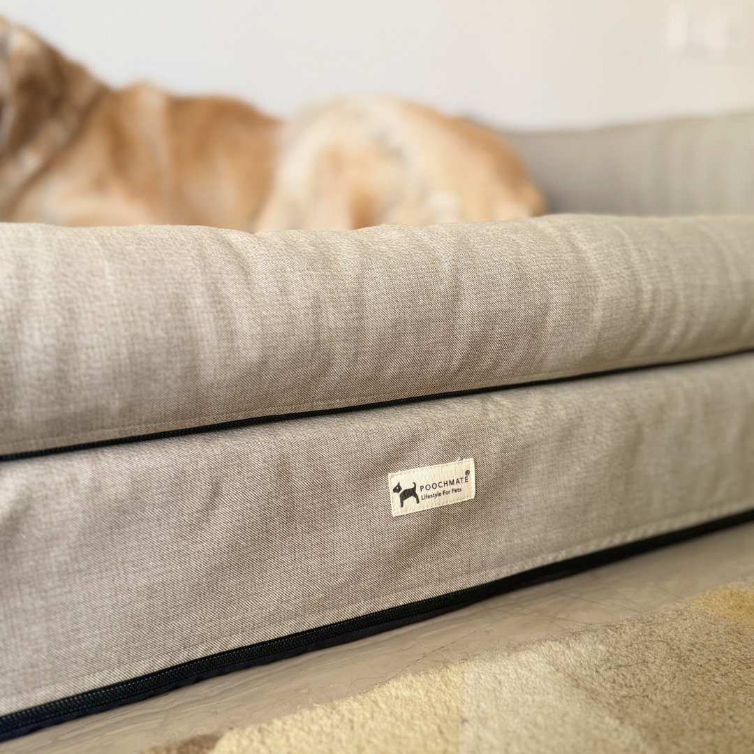 Orthopaedic dog beds Dubai| Memory foam dog beds Dubai| Memory foam dog sofa bed Dubai| Memory foam dog bed with raised sides UAE | PoochMate UAE memory Foam Dog bed