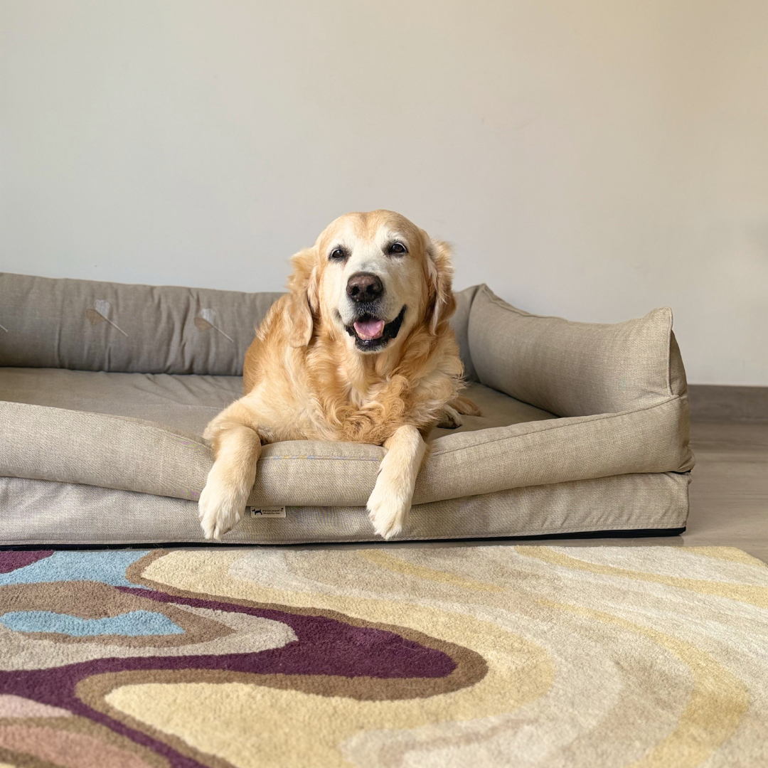 Orthopaedic dog beds Dubai| Memory foam dog beds Dubai| Memory foam dog sofa bed Dubai| Memory foam dog bed with raised sides UAE | PoochMate UAE memory Foam Dog bed