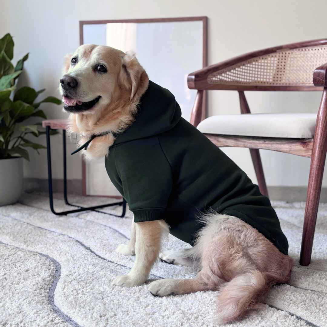 Dog Winter Clothes Dubai | Dog clothes online UAE | Dog hoodie Dubai