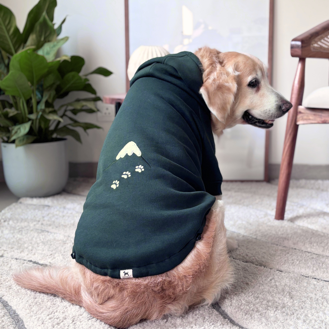 Dog Winter Clothes Dubai | Dog clothes online UAE | Dog hoodie Dubai