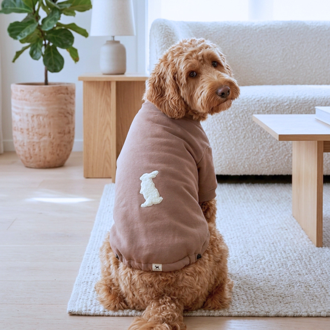 Dog Clothes Dubai | Dog clothes online UAE | Dog hoodie Dubai | Dog sweatshirts online Dubai
