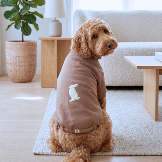 Dog Clothes Dubai | Dog clothes online UAE | Dog hoodie Dubai | Dog sweatshirts online Dubai