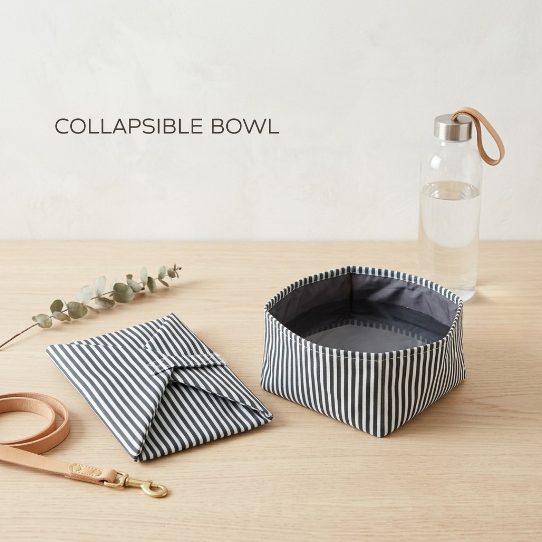 Collapsible dog bowl | Dog Travel bowl | Waterproof travel bowl for dogs | Foldable pet bowl Dubai | Dog travel essentials online Dubai