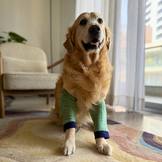 Dog Elbow Cover | Dog Elbow l Protector | Dog Elbow Callus Protector | Dog Elbow Sleeve | Elbow covers for dogs online Dubai | Elbow Sleeve for dogs Dubai