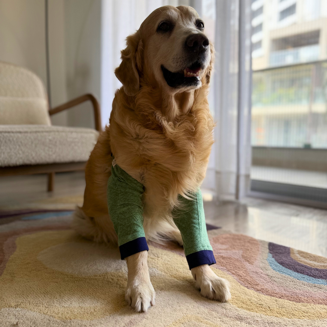 Dog Elbow Cover | Dog Elbow l Protector | Dog Elbow Callus Protector | Dog Elbow Sleeve | Elbow covers for dogs online Dubai | Elbow Sleeve for dogs Dubai