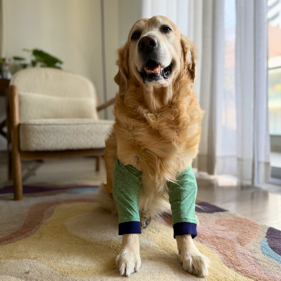 Dog Elbow Cover | Dog Elbow l Protector | Dog Elbow Callus Protector | Dog Elbow Sleeve | Elbow covers for dogs online Dubai | Elbow Sleeve for dogs Dubai
