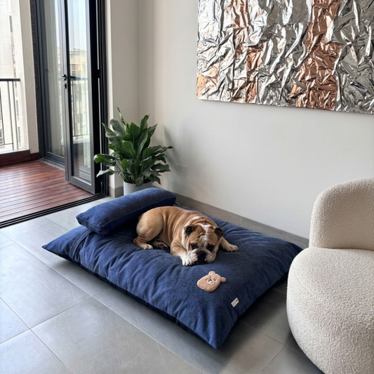 Large dog beds Dubai | Best dog beds UAE | Luxury dog beds Dubai