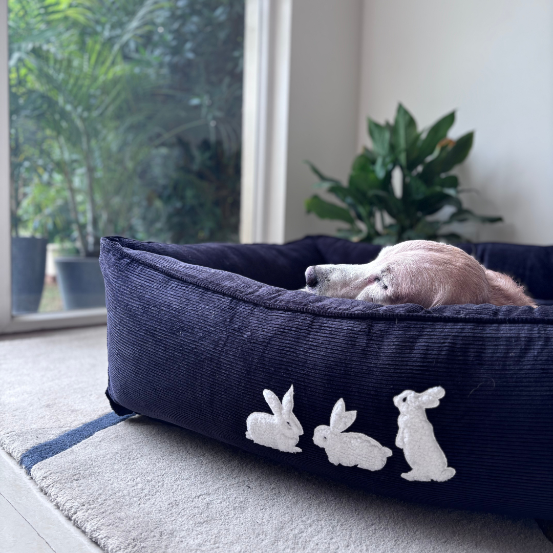 PoochMate UAE | Dog Beds with removable covers online Dubai | Large washable dog beds Dubai | Corduroy Dog Beds UAE