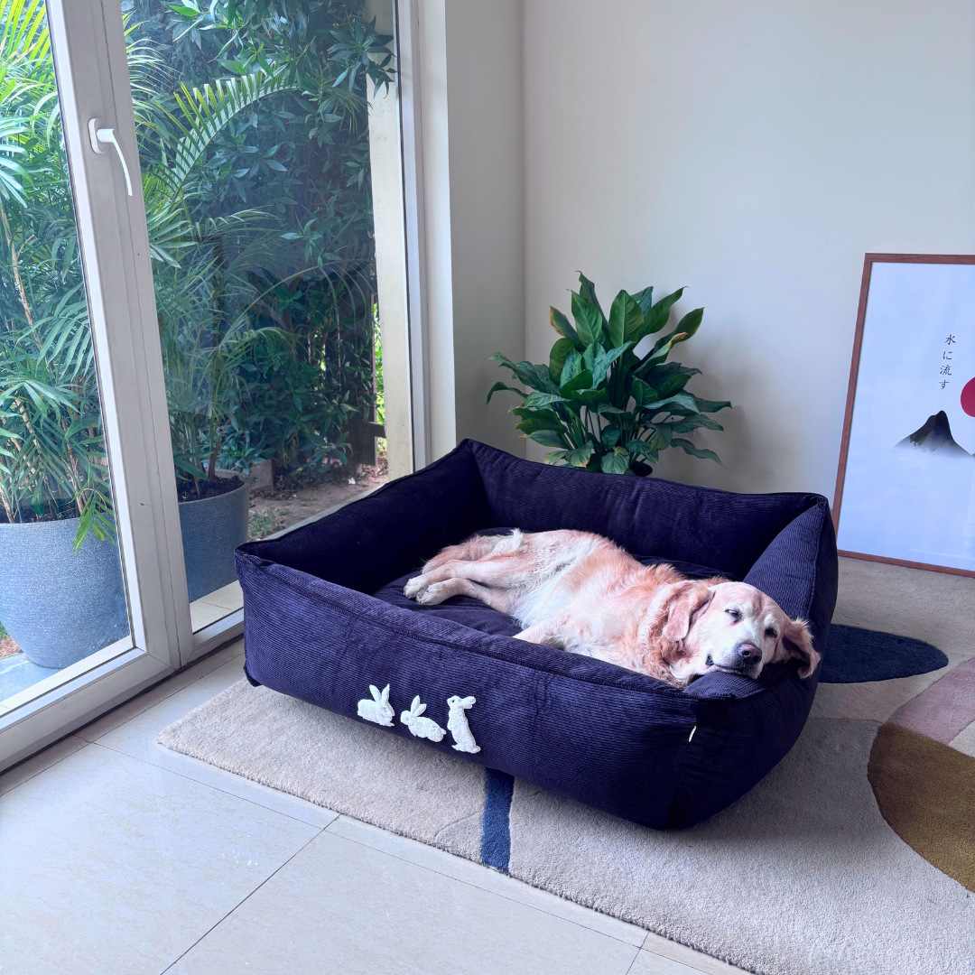 PoochMate UAE | Dog Beds with removable covers online Dubai | Large washable dog beds Dubai | Dog Beds UAE