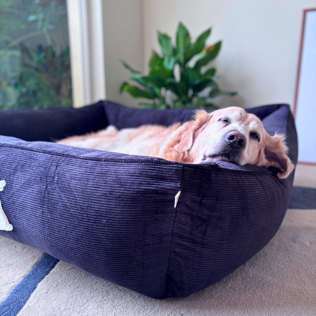 PoochMate UAE | Dog Beds with removable covers online Dubai | Large washable dog beds Dubai | Dog Beds UAE