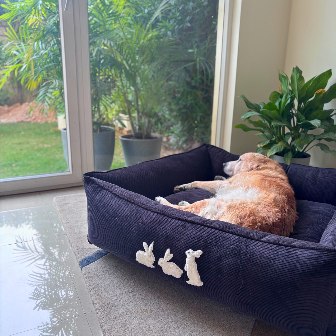 PoochMate UAE | Dog Beds with removable covers online Dubai | Large washable dog beds Dubai | Dog Beds UAE