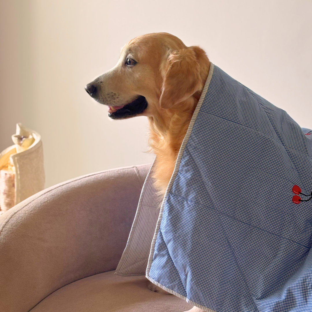 Cotton Dog Blankets | Soft Cotton Dog Blankets Dubai | PoochMate UAE