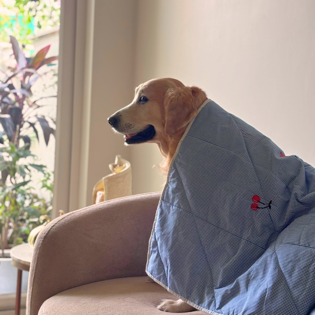 Cotton Pet Blankets | Soft Cotton Pet Blankets Dubai | PoochMate UAE