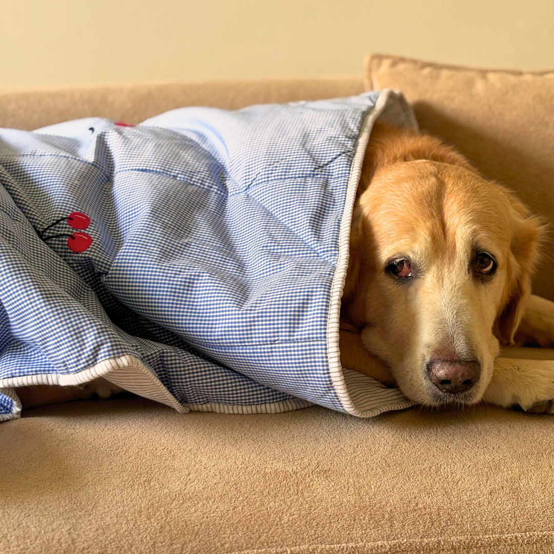 Cotton Pet Blankets | Soft Cotton Pet Blankets Dubai | PoochMate UAE