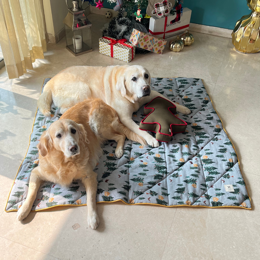 Cotton dog blankets Online pet store UAE Delivery to UAE