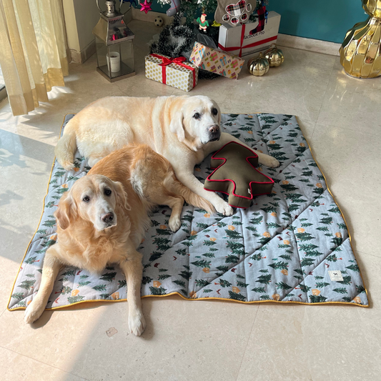 Fleece Dog Blankets UAE | Pet Supplies online Dubai