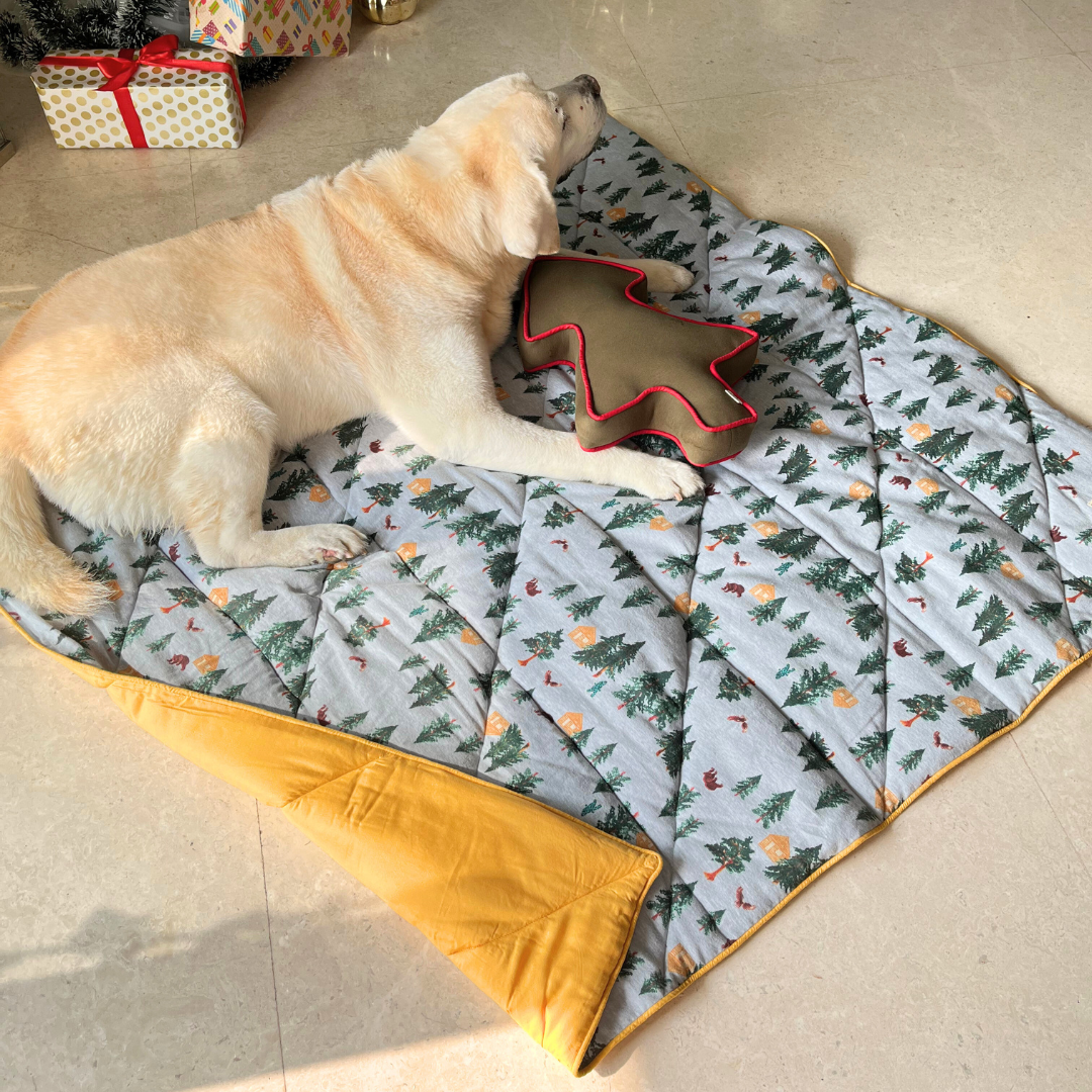 Dubai Christmas Dog Gifts | Blankets for dogs 