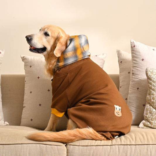 Dog Sweatshirts | Large dog clothes online Dubai 